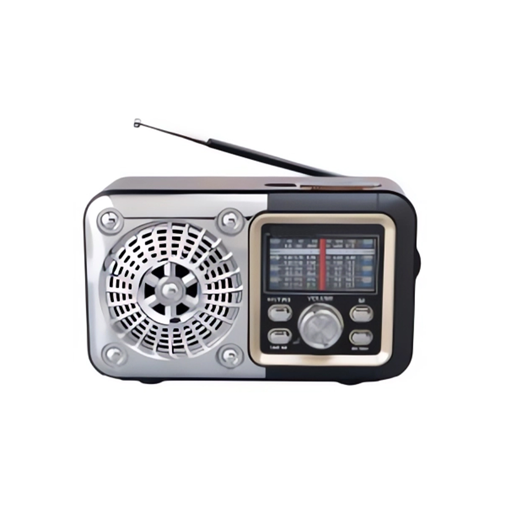 New Release Multi function Usb Rechargeable Fm Am Radio with Bt Speaker Tf Card 