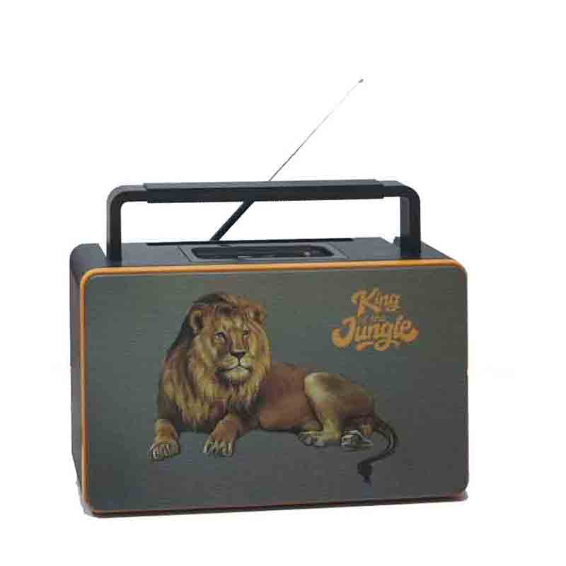 Special Design fm blue tooth Radio remote control portable rechargeable Radio